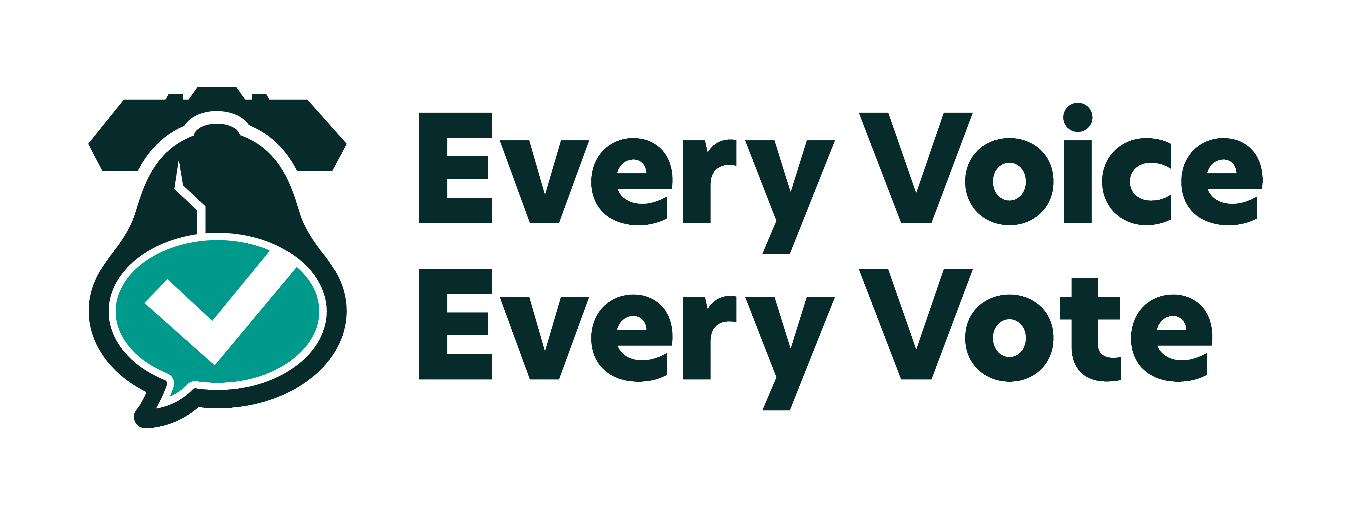 Every Voice Every Vote Logo