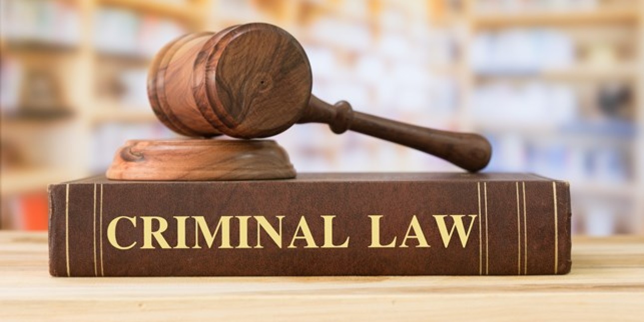 criminal law book