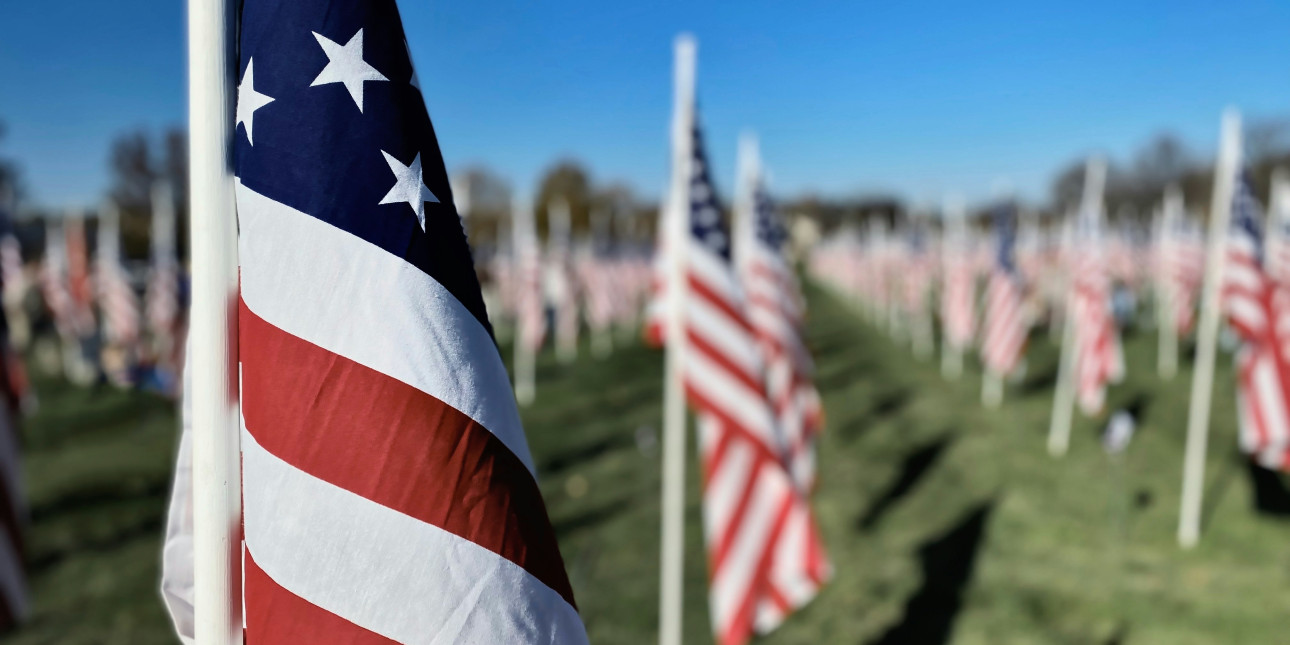 A field of flags on a sunny day