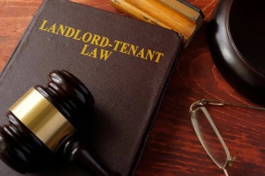 Picture of gavel and book that reads "landlord-tentant law"
